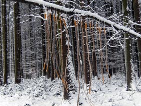 Klangbogen ein Tag danach